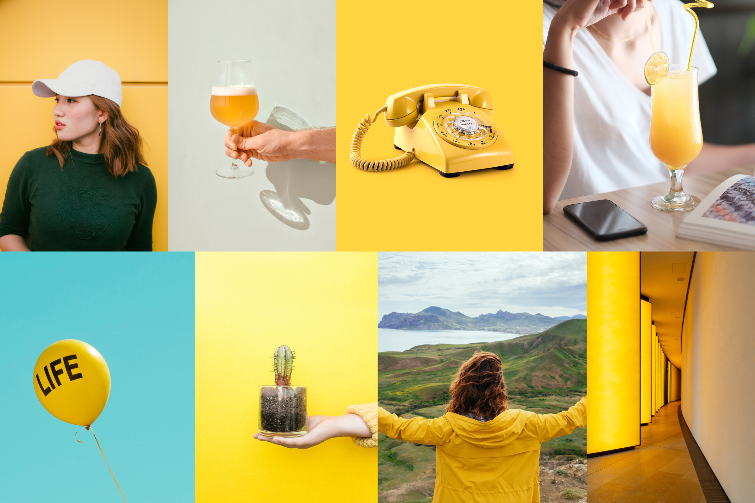 Incorporate colored elements in our photography.